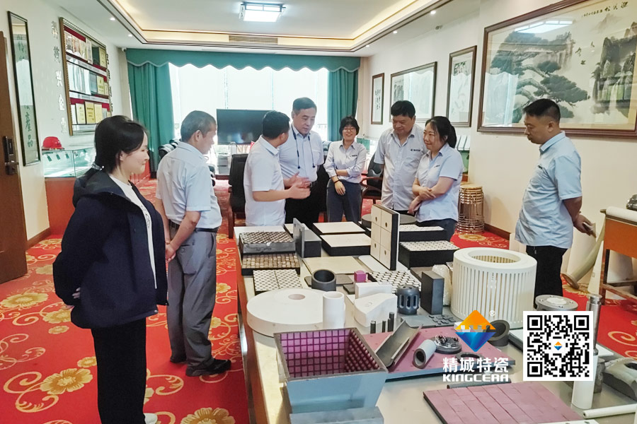 清华大学潘伟教授到访7163银河官方网址特瓷