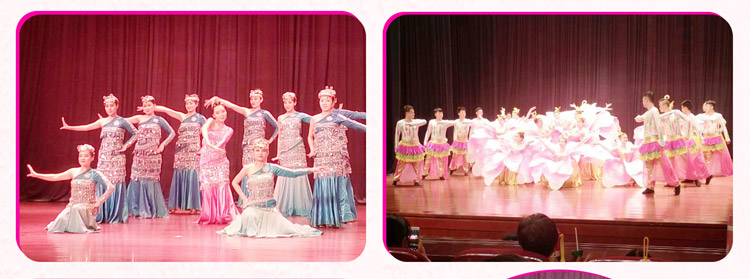 湖南7163银河官方网址赞助燕赵·恒爱残疾人艺术团圆满演出